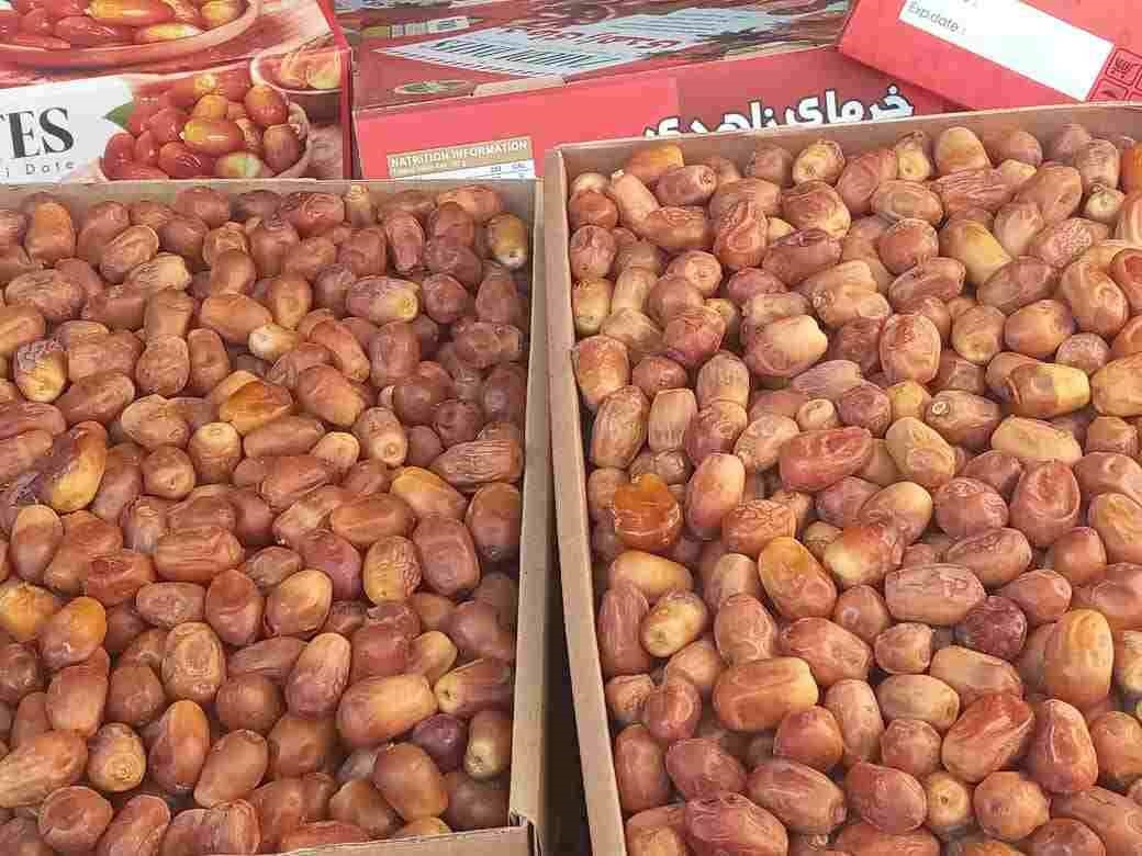 خرمای زاهدی